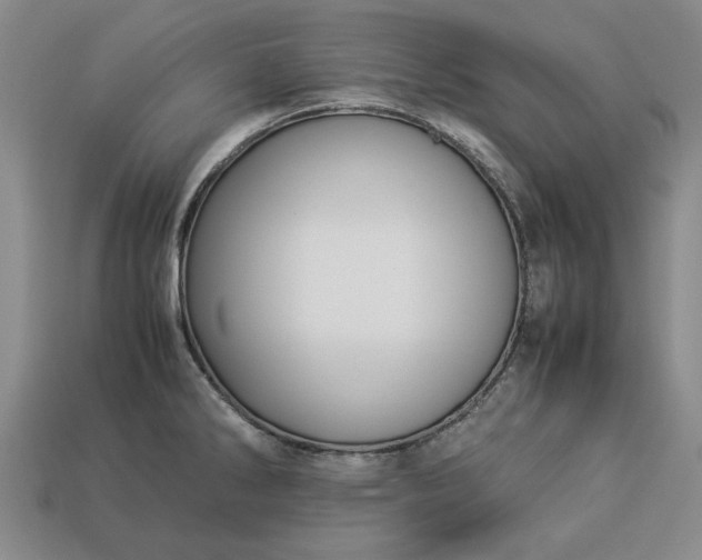 X0000113261286200909241514