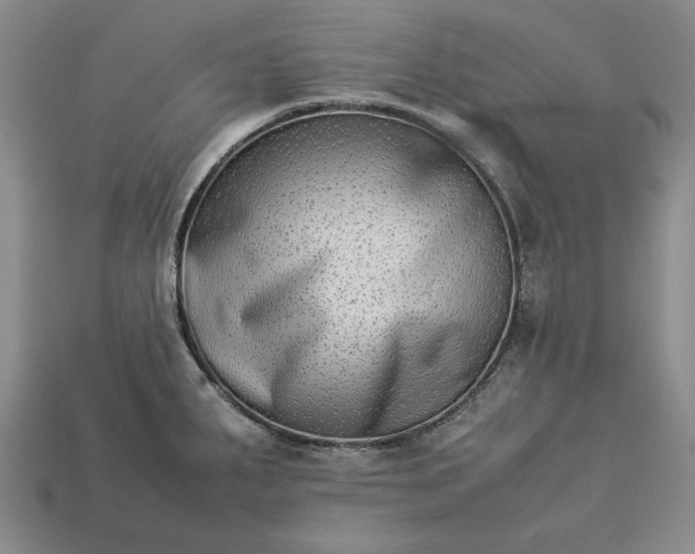 X0000113261287200909241514