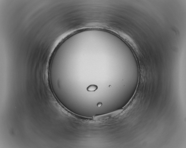 X0000113261288200909241514