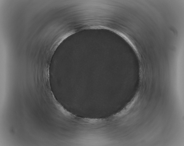 X0000113261289200909241514