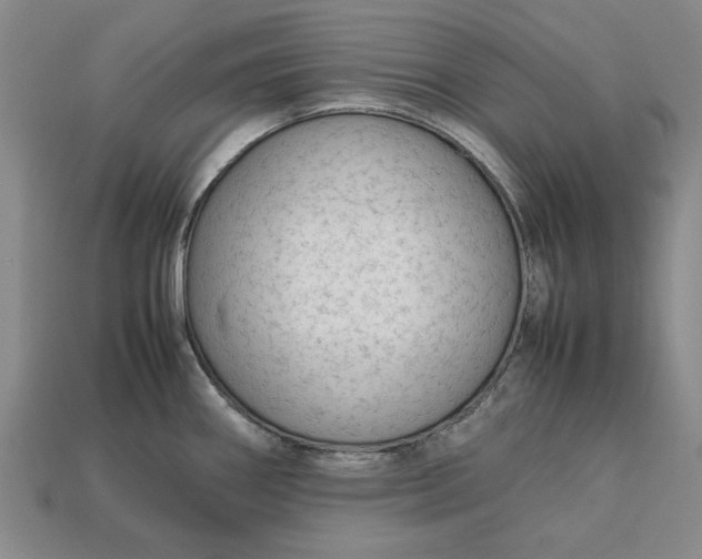 X0000113261290200909241514