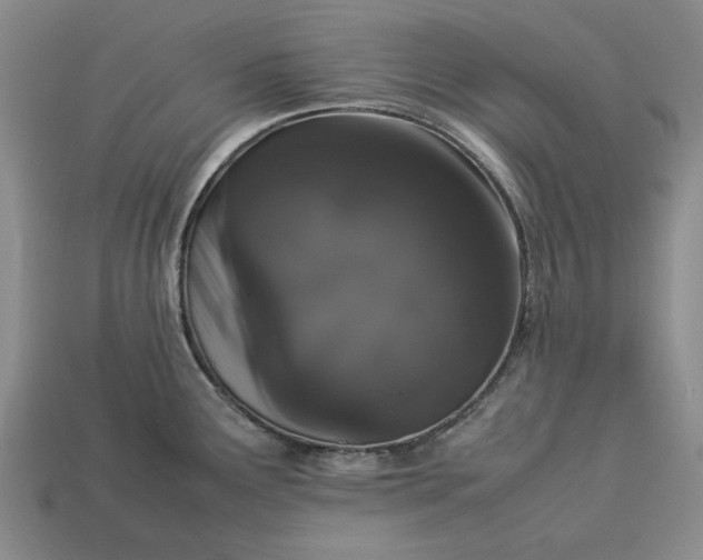 X0000113261291200909241514