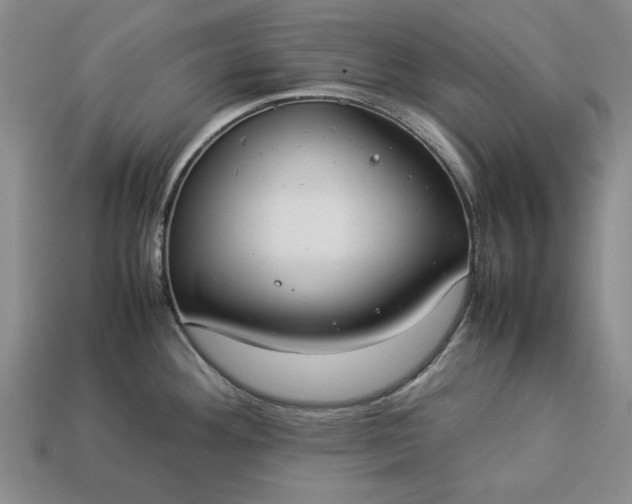 X0000113261292200909241514