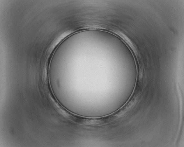 X0000113261293200909241514