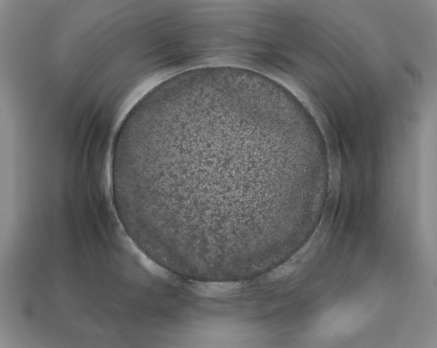 X0000113261294200909241514