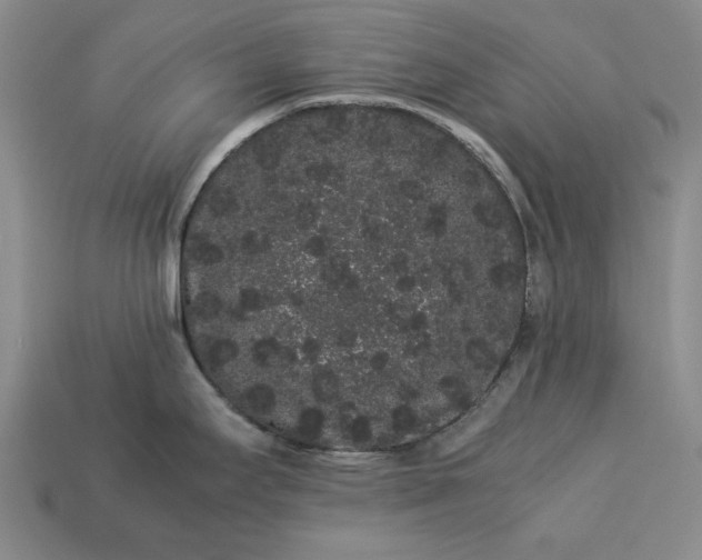 X0000113261295200909241514