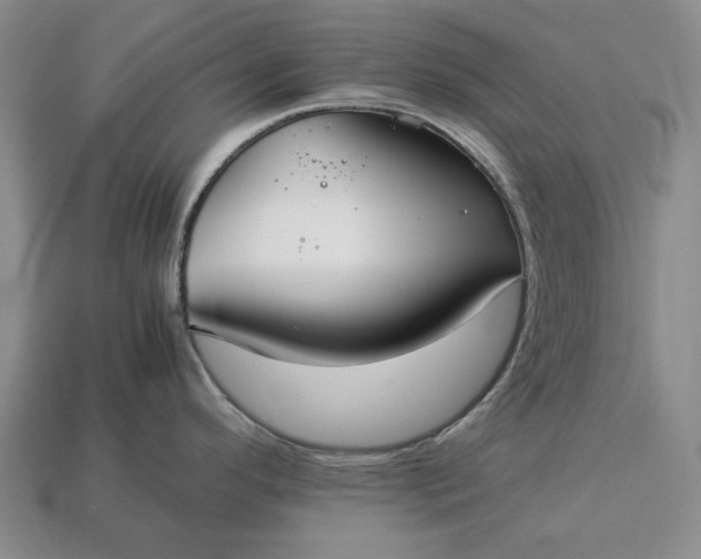 X0000113261296200909241514