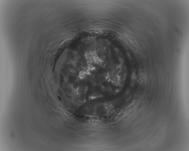 X0000113261297200909241514