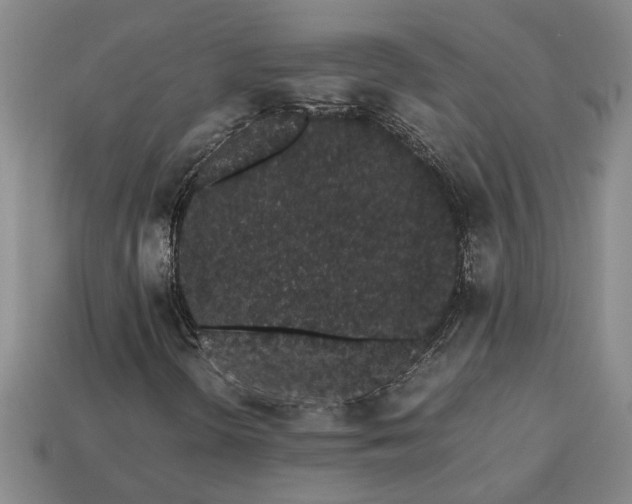 X0000113261298200909241514