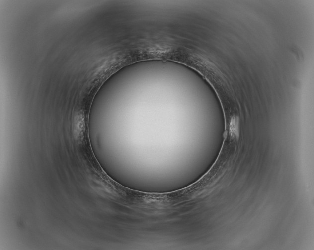 X0000113261299200909241514