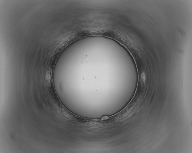 X0000113261300200909241514