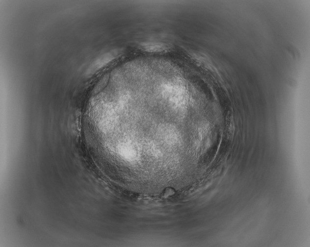 X0000113261301200909241514