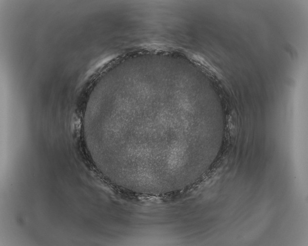 X0000113261302200909241514