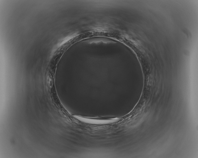 X0000113261303200909241514