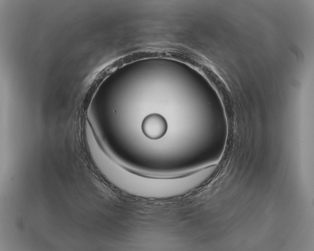 X0000113261304200909241514