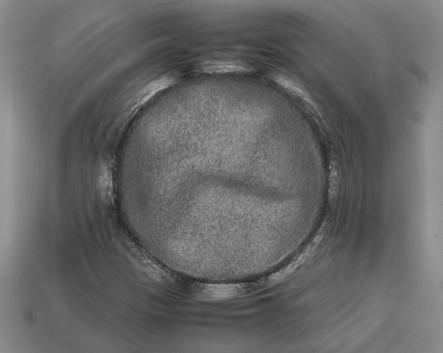 X0000113261305200909241514