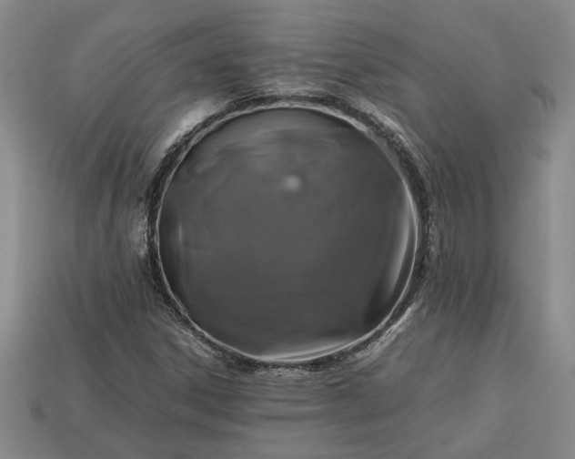 X0000113261306200909241514