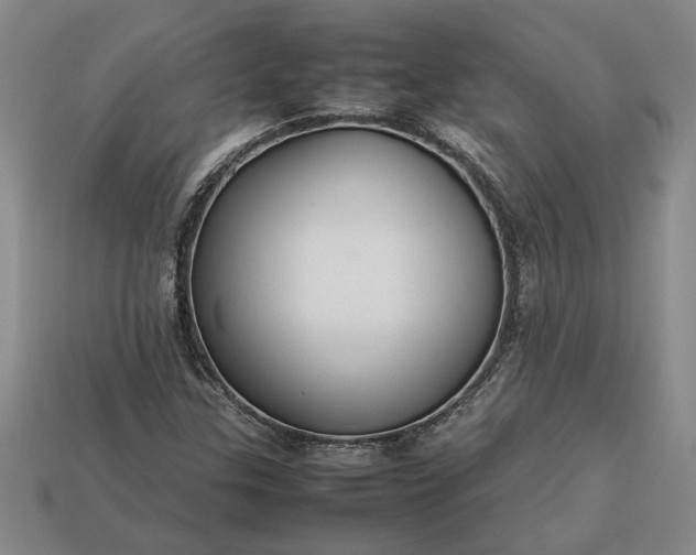 X0000113261307200909241514