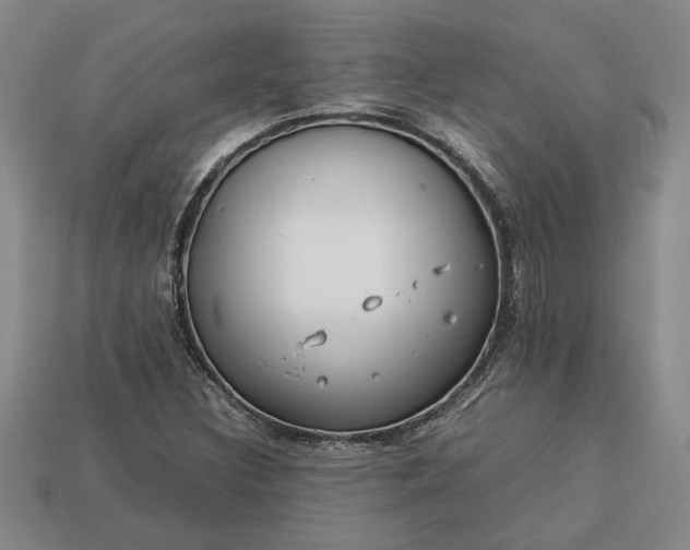 X0000113261308200909241514