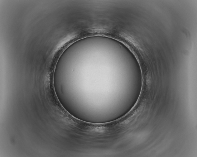 X0000113261309200909241514