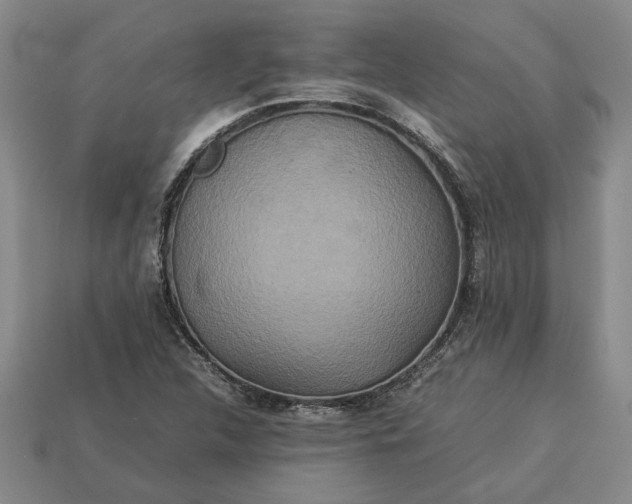 X0000113261312200909241514