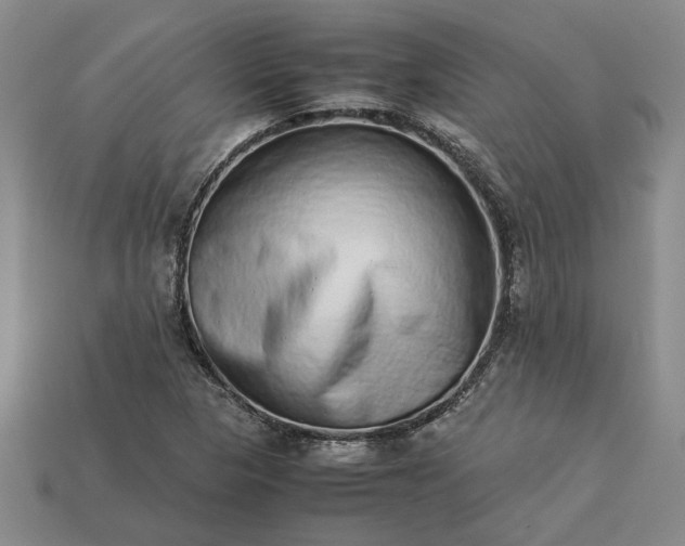 X0000113261313200909241514