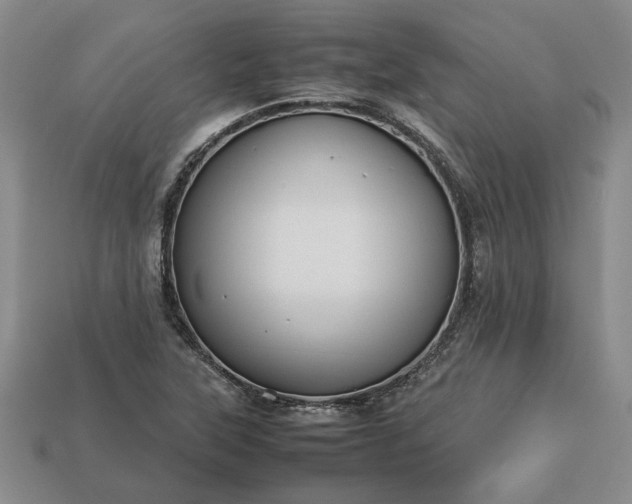 X0000113261315200909241514