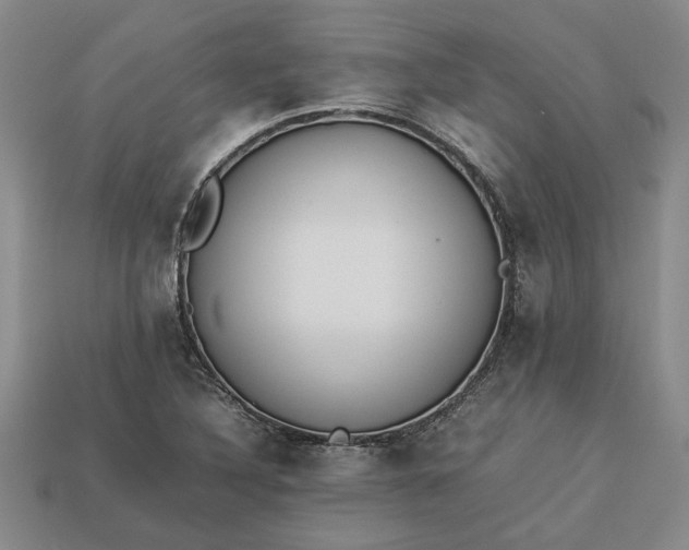 X0000113261316200909241514