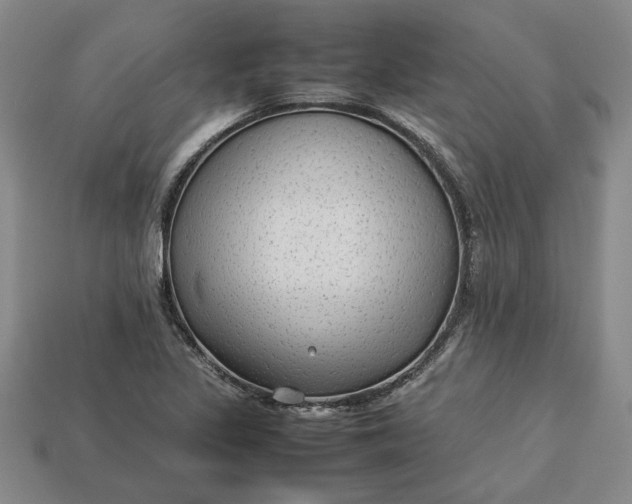 X0000113261317200909241514