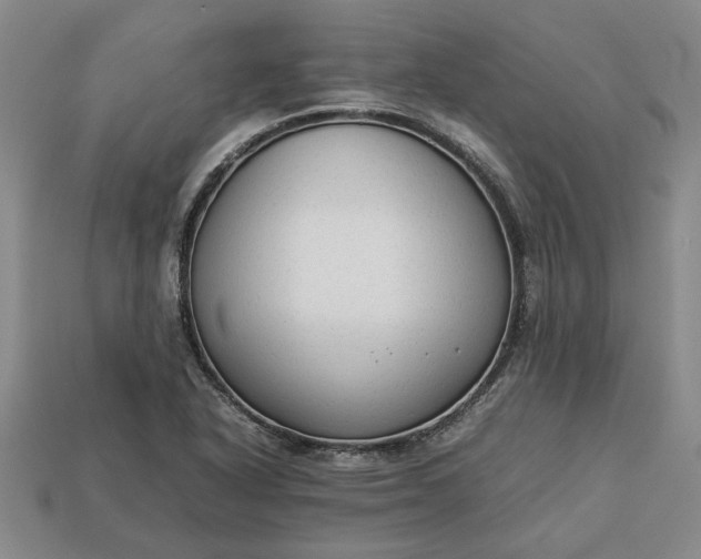 X0000113261318200909241514