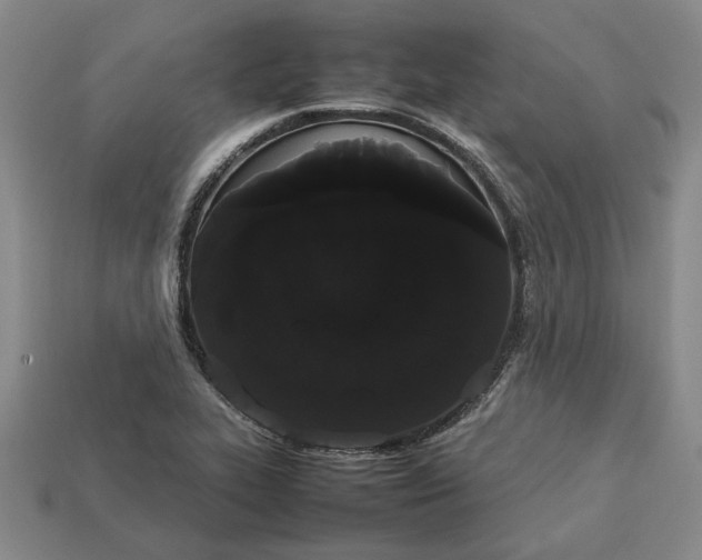 X0000113261319200909241514