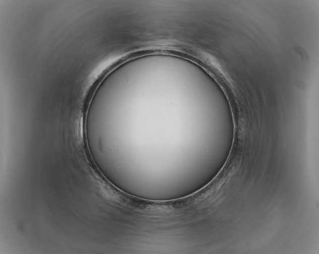 X0000113261320200909241514