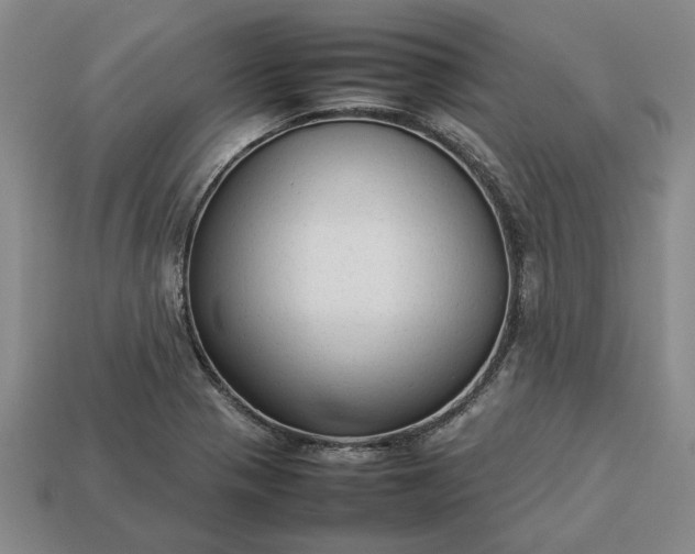 X0000113261321200909241514