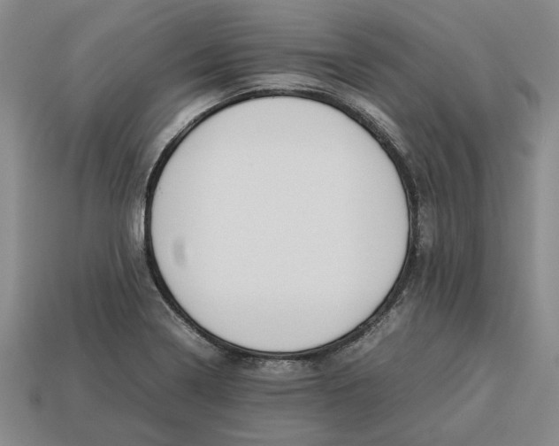 X0000113261322200909241514