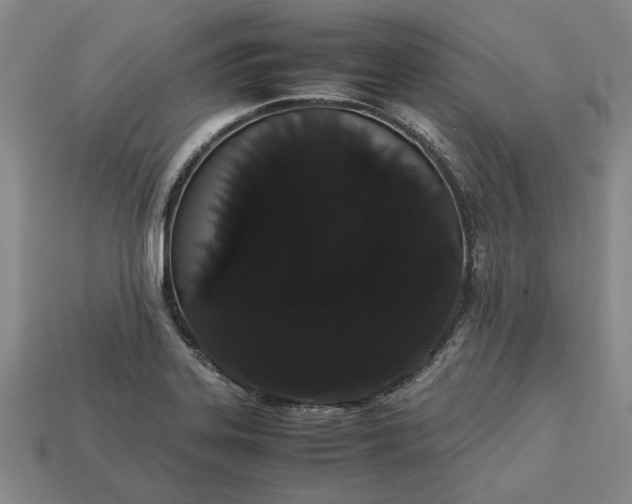 X0000113261323200909241514