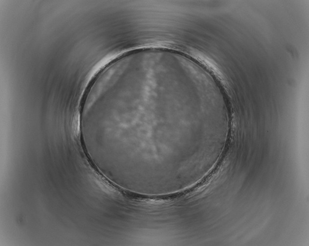 X0000113261324200909241514