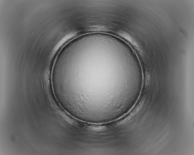 X0000113261325200909241514