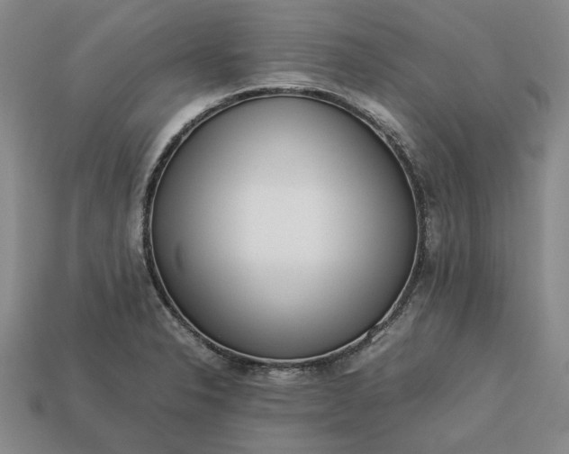 X0000113261326200909241514