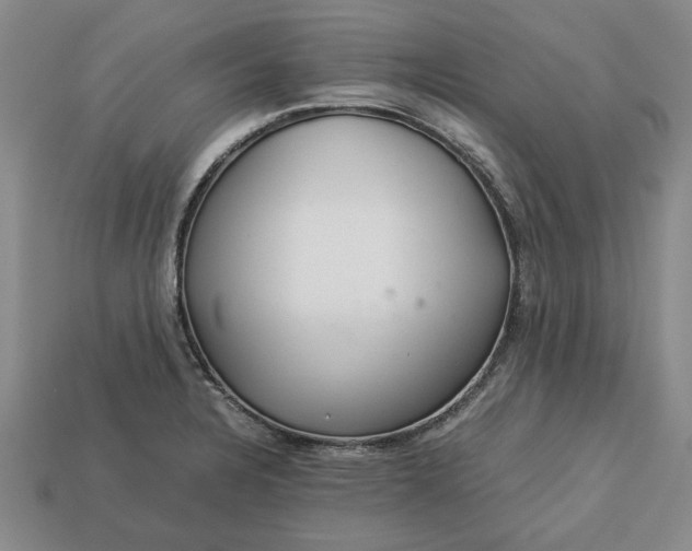 X0000113261328200909241514