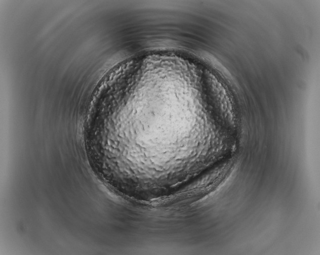 X0000113261329200909241514