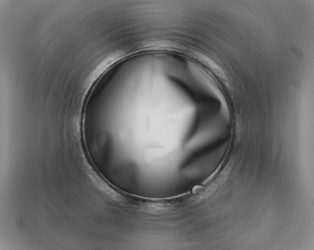 X0000113261330200909241514