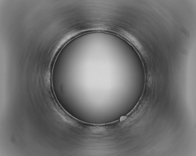 X0000113261332200909241514