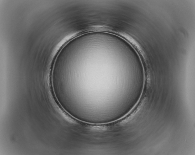 X0000113261333200909241514