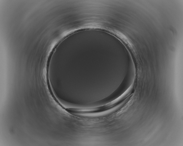 X0000113261334200909241514