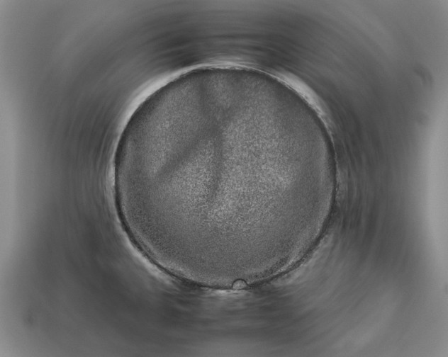 X0000113261335200909241514