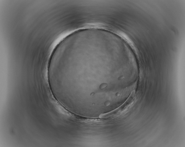 X0000113261336200909241514