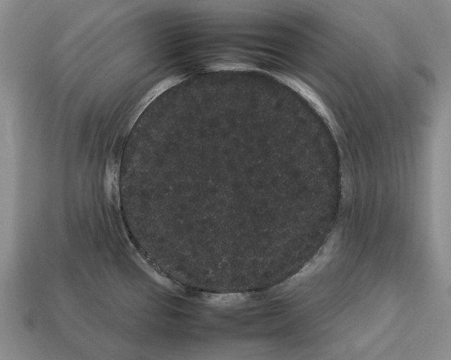 X0000113261337200909241514