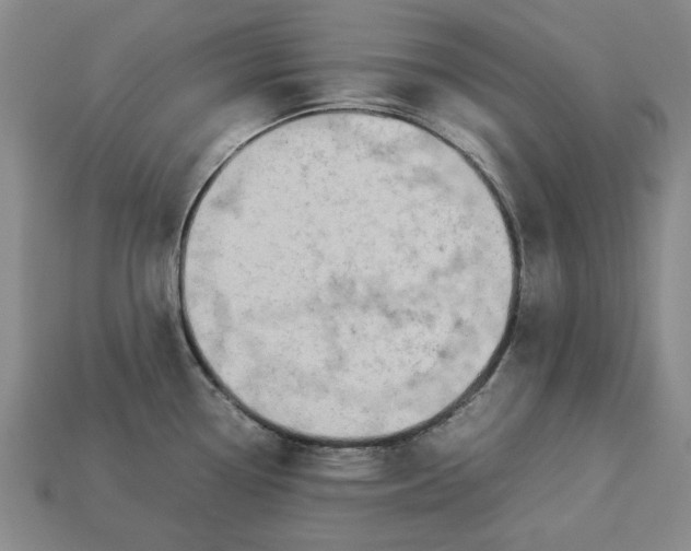 X0000113261338200909241514