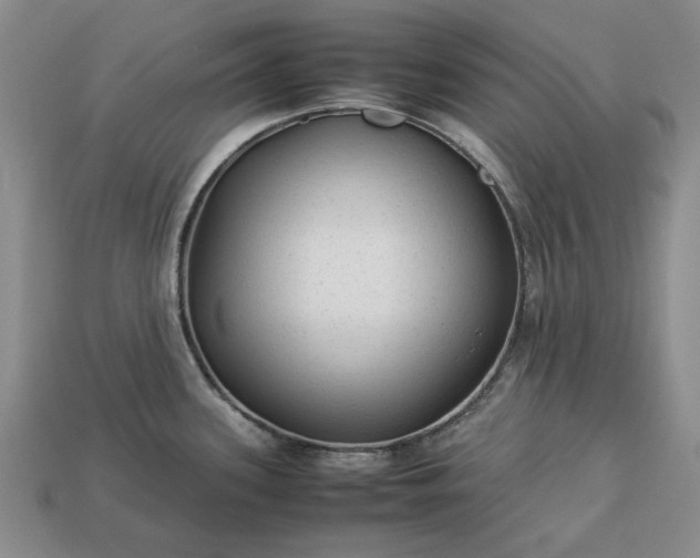 X0000113261339200909241514