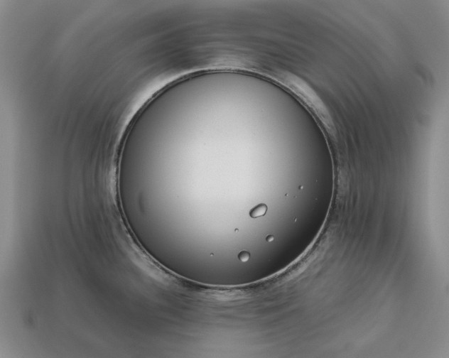 X0000113261340200909241514